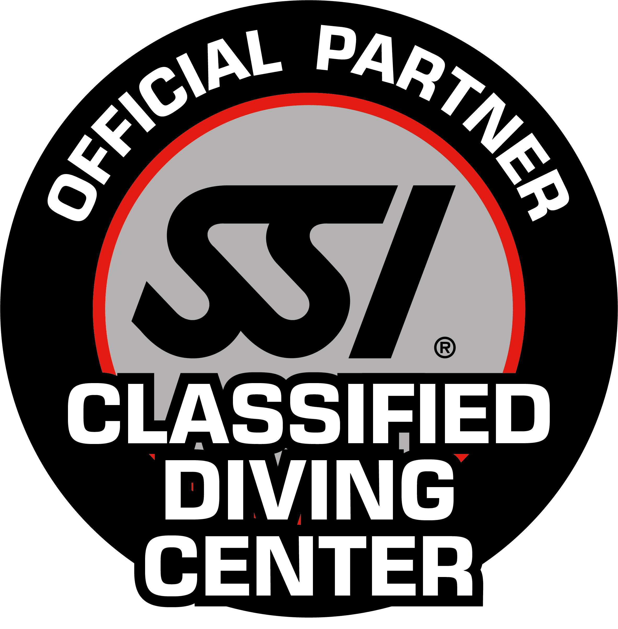 SSI Logo